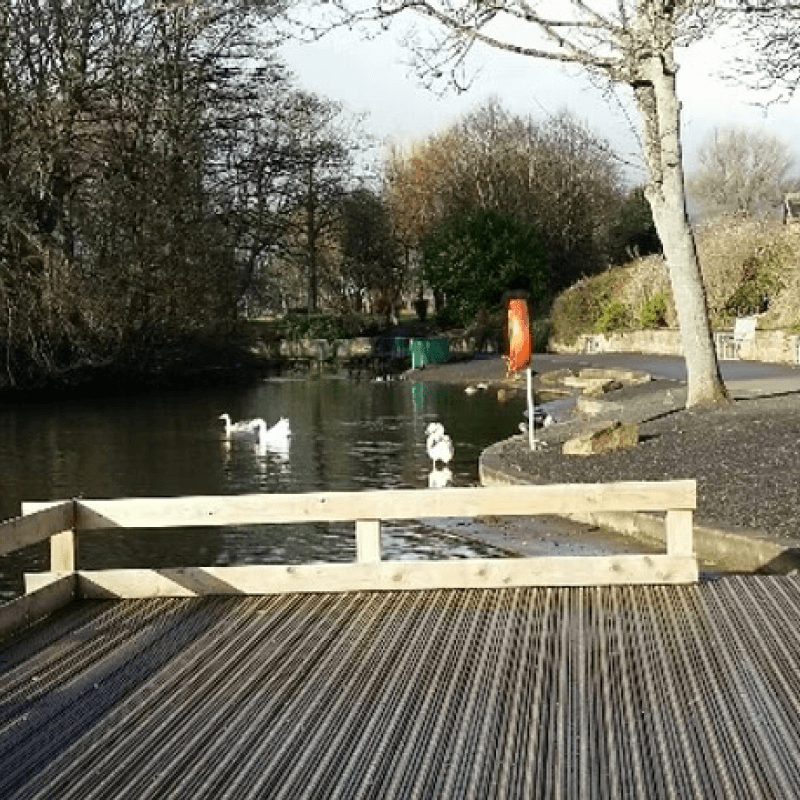 A wooden dock leads to a calm pond with three swans swimming, surrounded by trees and a paved path with a lifebuoy on a pole.
