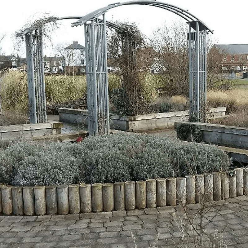 A garden with a metal archway, raised wooden planters, low shrubs in a circular bed, taller grasses in the background, and residential houses beyond the garden.